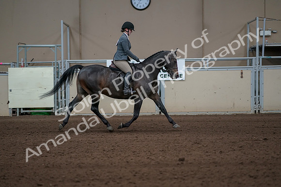 2019 Morgan Horse Show - Sept 01, 2019 - 11059