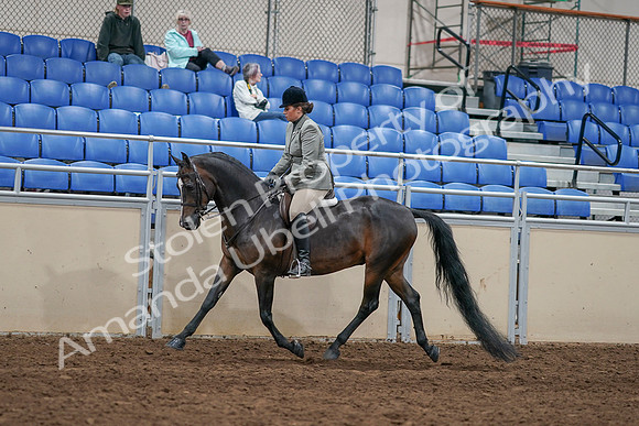 2020 - AB Morgan Horse - Sat, Sept 05 - 14332