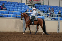 2020 - AB Morgan Horse - Sun, Sept 06 - 07468