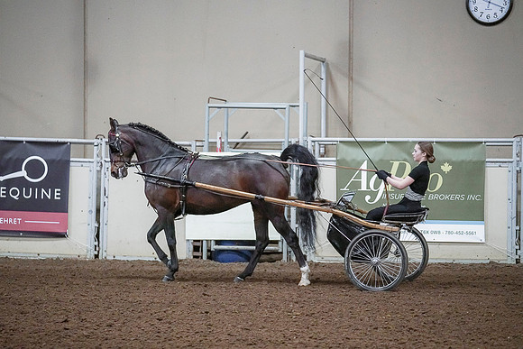 Spring Fling - Saturday - April 20, 2019  -  00245