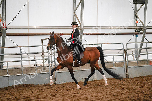 July 19, 2019 - 9043