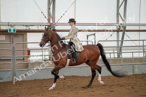 July 20, 2019 - 02295