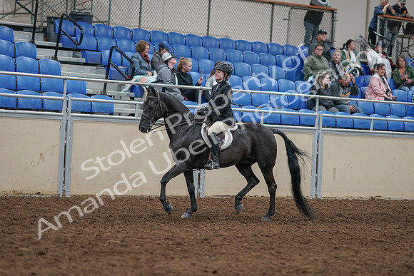 2020 - AB Morgan Horse - Sun, Sept 06 - 07772