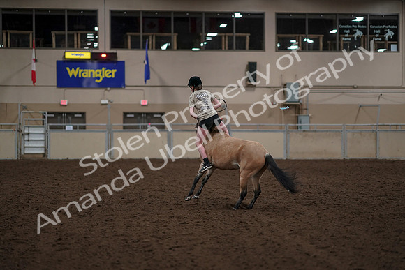 2019 Morgan Horse Show - Aug 30, 2019 - 31268