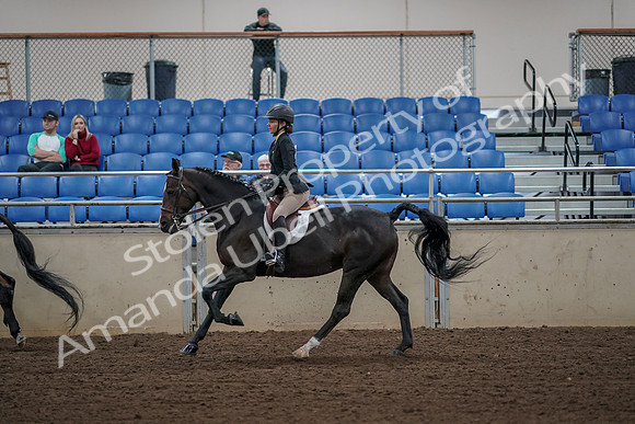 2019 Morgan Horse Show - Aug 31, 2019 - 05123