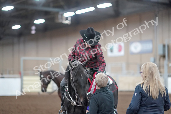 2019 Morgan Horse Show - Aug 31, 2019 - 10800