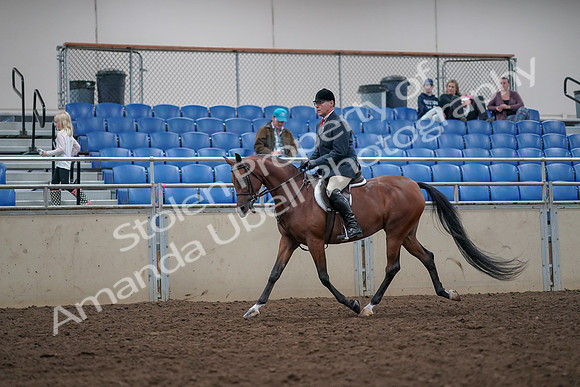 2019 Morgan Horse Show - Aug 31, 2019 - 14950