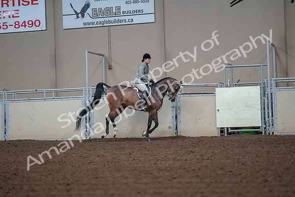 2019 Morgan Horse Show - Aug 30, 2019 - 17603