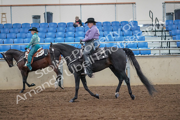 2019 Morgan Horse Show - Aug 30, 2019 - 16893