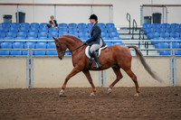 2019 Morgan Horse Show - Aug 30, 2019 - 16017