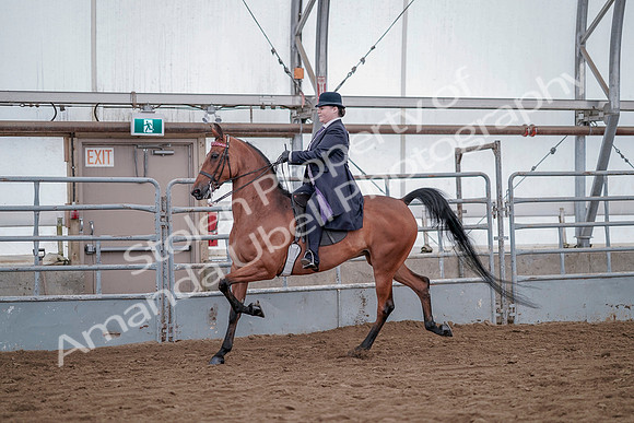 July 20, 2019 - 13764