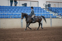 2019 Morgan Horse Show - Sept 01, 2019 - 10884_1