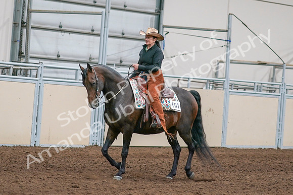 2020 - AB Morgan Horse - Sun, Sept 06 - 01537