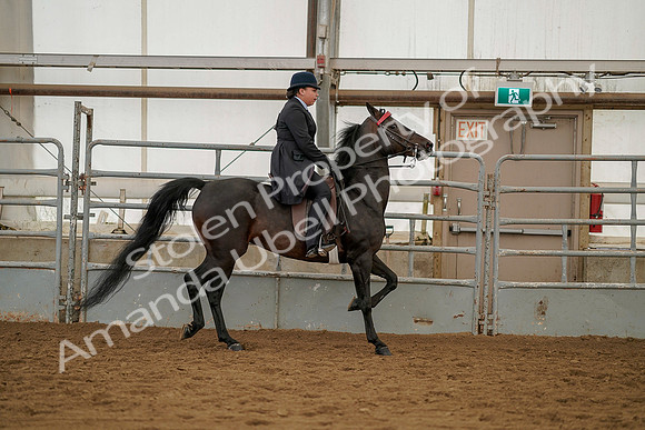 July 20, 2019 - 04529