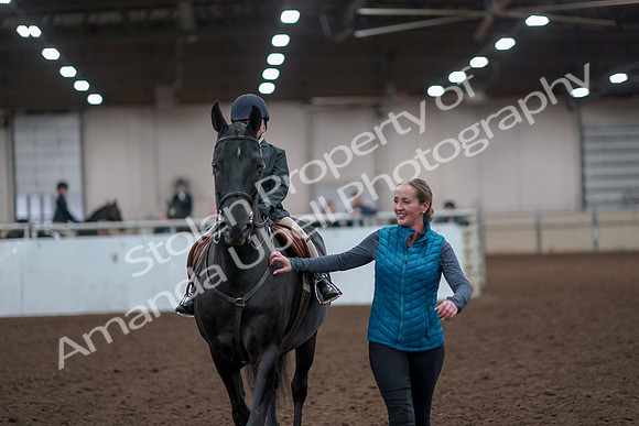 2019 Morgan Horse Show - Aug 31, 2019 - 19742