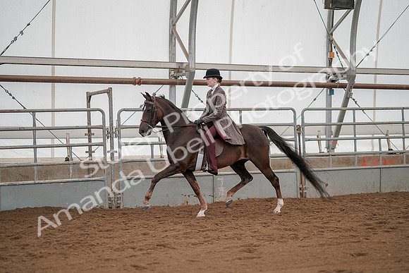 July 20, 2019 - 04235