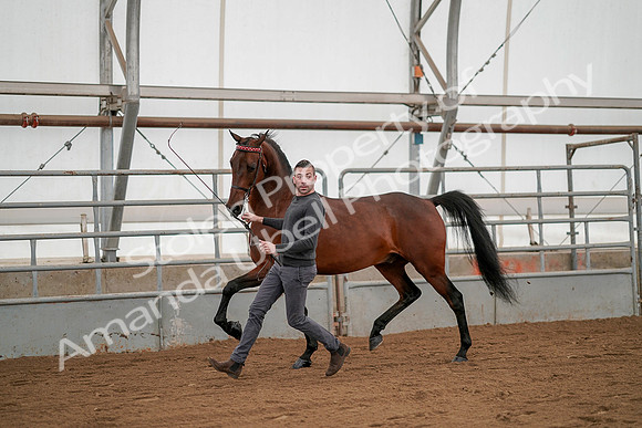 July 19, 2019 - 1186