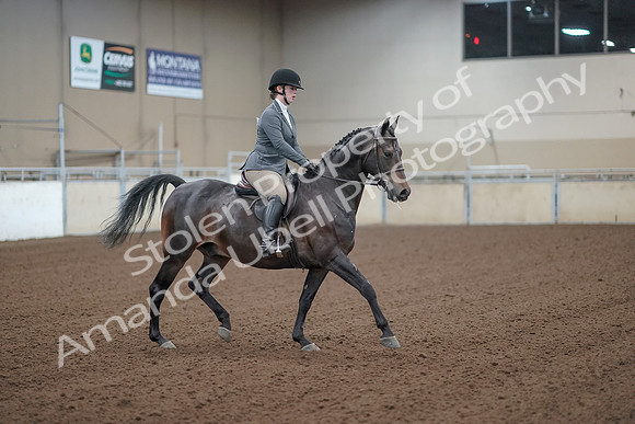 2019 Morgan Horse Show - Sept 01, 2019 - 11016