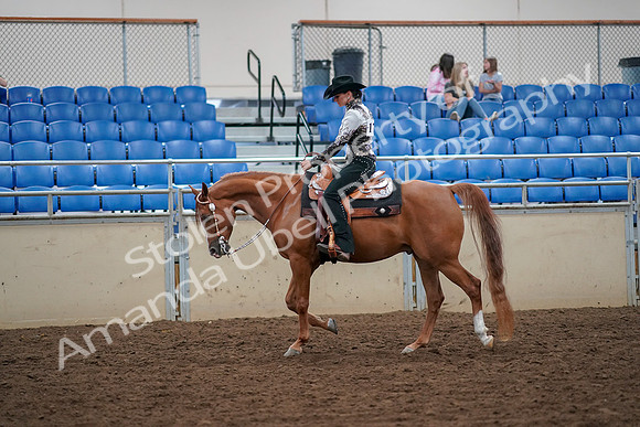 2019 Morgan Horse Show - Aug 30, 2019 - 16733