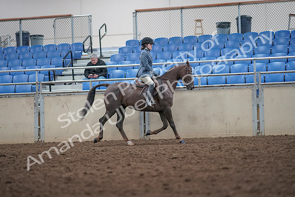 2019 Morgan Horse Show - Aug 31, 2019 - 16733