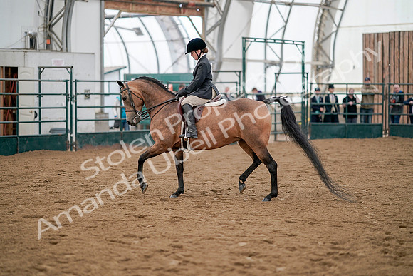 July 20, 2019 - 01234