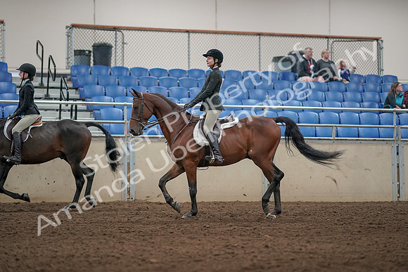 2019 Morgan Horse Show - Aug 31, 2019 - 04935