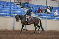 2020 - AB Morgan Horse - Sun, Sept 06 - 00891