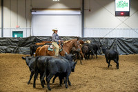 Herd Work - Novice Rein Box
