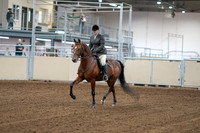 2020 - AB Morgan Horse - Fri, Sept 04 - 02227