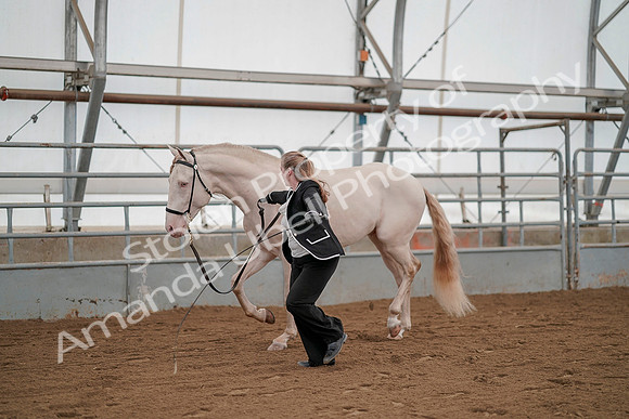 July 19, 2019 - 1305