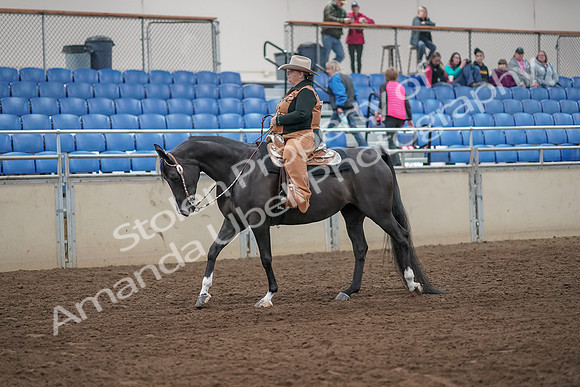 2019 Morgan Horse Show - Aug 31, 2019 - 06124