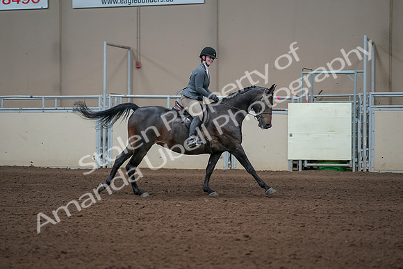 2019 Morgan Horse Show - Sept 01, 2019 - 11123