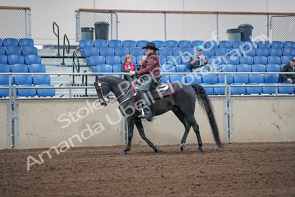 2019 Morgan Horse Show - Aug 31, 2019 - 10647