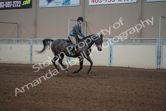 2019 Morgan Horse Show - Sept 01, 2019 - 11109