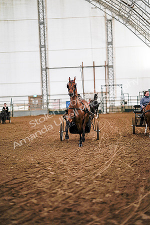 July 19, 2019 - 6783
