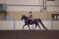 Class 160 - Morgan English Pleasure, Stake
