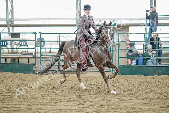 July 21, 2019 - 12267