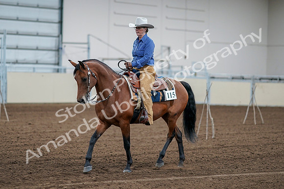 2020 - AB Morgan Horse - Fri, Sept 04 - 00139