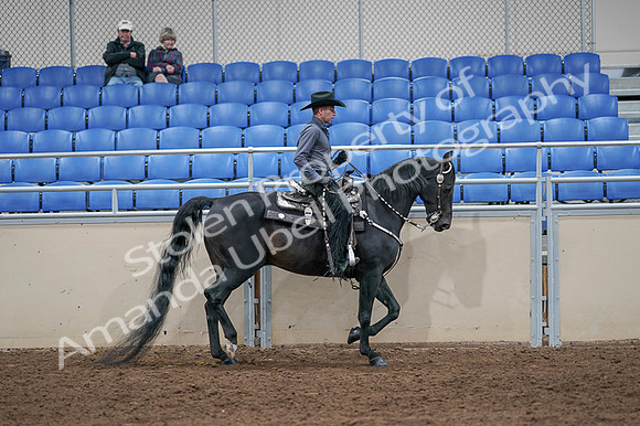 2020 - AB Morgan Horse - Fri, Sept 04 - 08483