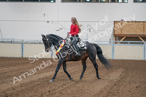 2020 - AB Morgan Horse - Sat, Sept 05 - 10382