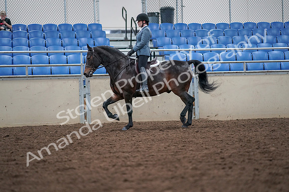 2019 Morgan Horse Show - Aug 30, 2019 - 18418