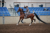 2019 Morgan Horse Show - Sept 01, 2019 - 07388