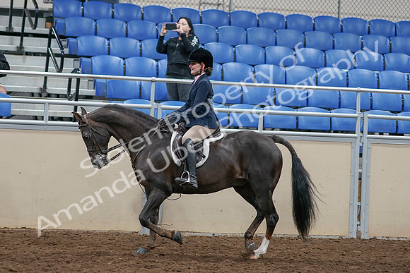 2020 - AB Morgan Horse - Sun, Sept 06 - 07965