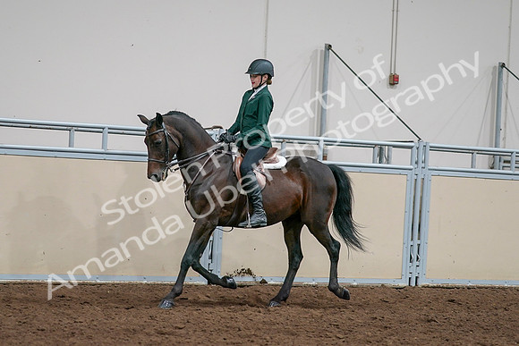2020 - AB Morgan Horse - Sat, Sept 05 - 05042