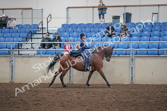 2019 Morgan Horse Show - Aug 31, 2019 - 09692