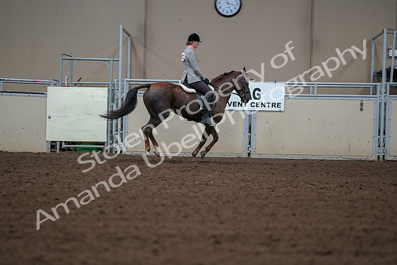 2019 Morgan Horse Show - Aug 30, 2019 - 18573
