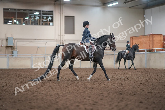 2019 Morgan Horse Show - Aug 31, 2019 - 19611