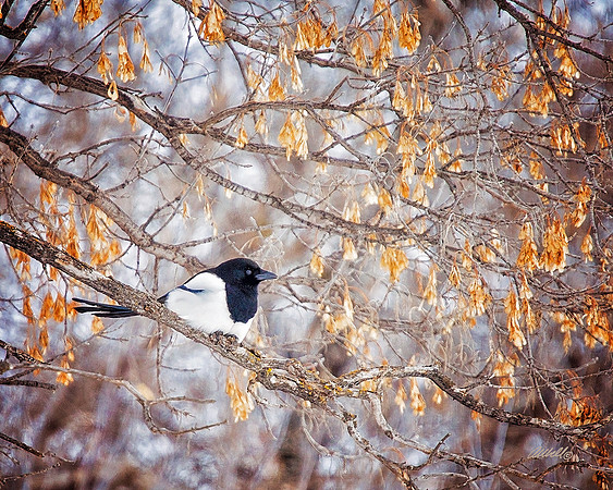Jan 13 2015 - 5757