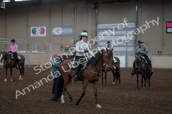 2019 Morgan Horse Show - Sept 01, 2019 - 07251