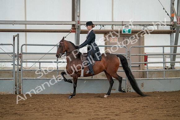 July 20, 2019 - 04283